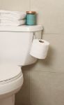 Picture of Over the Tank Single Roll Tissue Reserve - Chrome