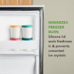 Picture of Mini Sweet Treats Tubs S/4 Assorted Tropics