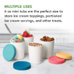 Picture of Mini Sweet Treats Tubs S/4 Assorted Tropics