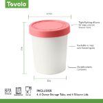 Picture of Mini Sweet Treats Tubs S/4 Assorted Tropics